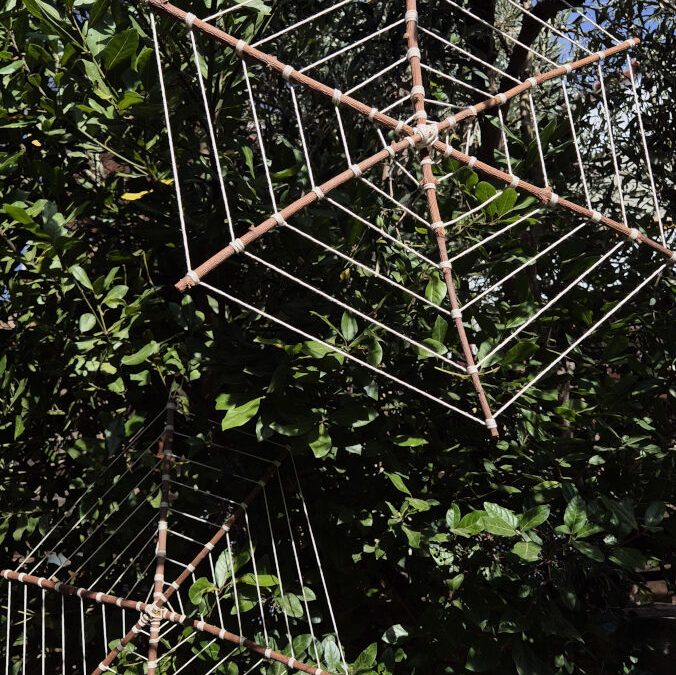 Η αράχνη δημιουργεί τον ιστό της