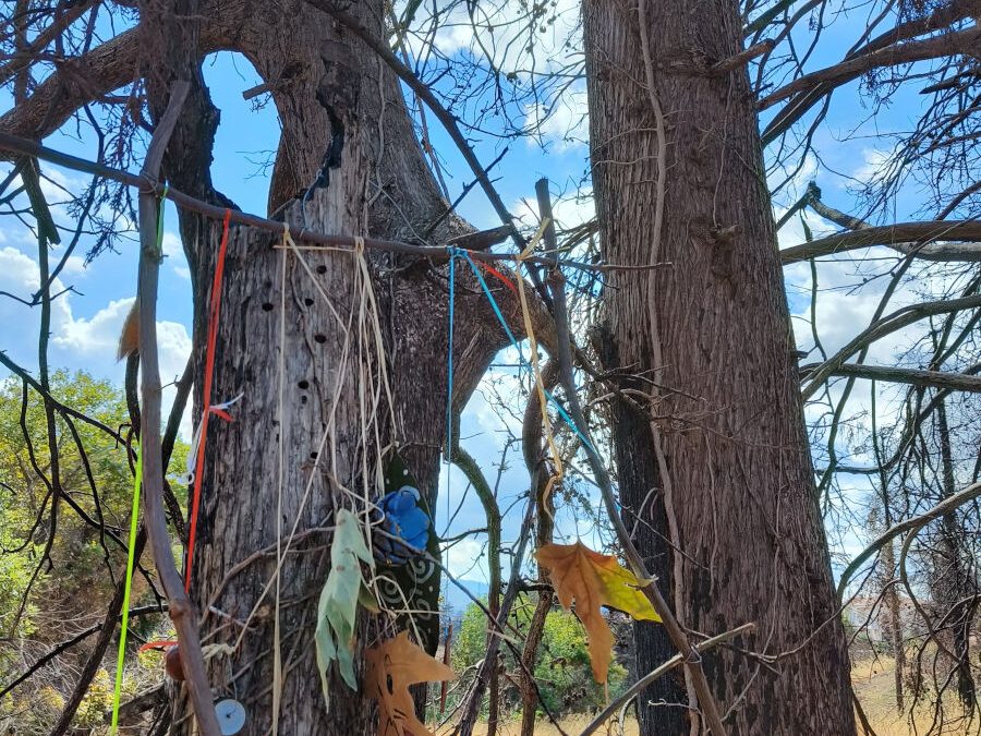 Εικαστικές Παρεμβάσεις