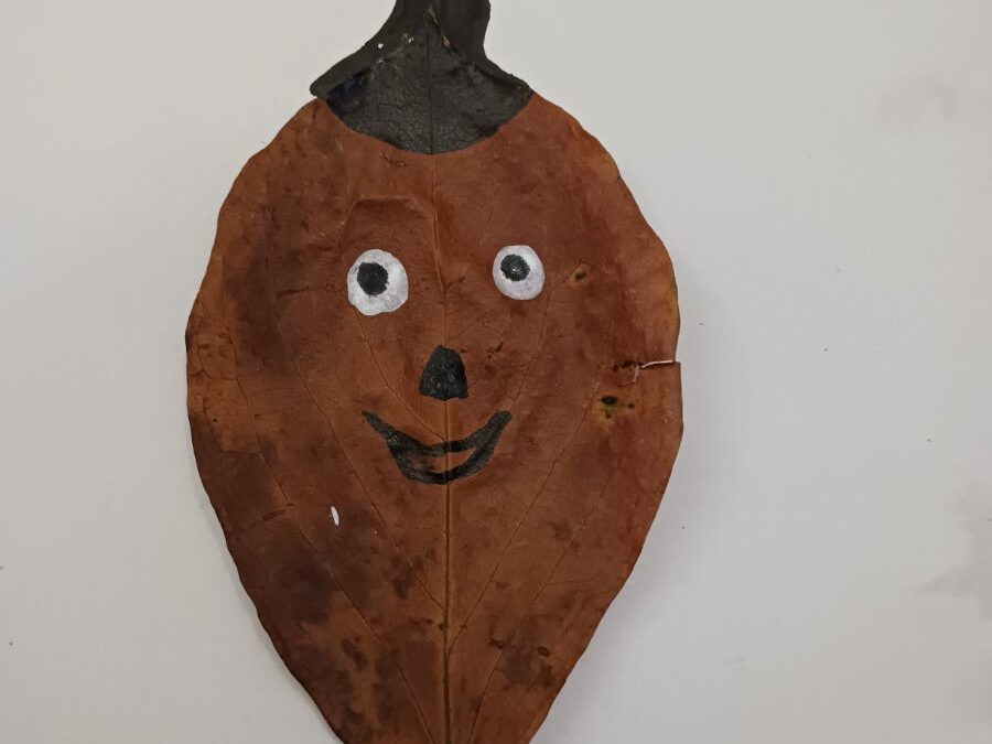 Κατασκευές